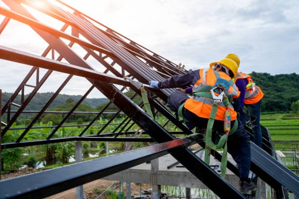 Best Storm Damage Roof Repair  in Genoa, OH