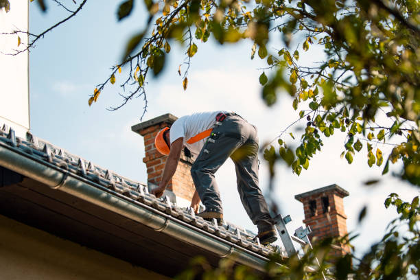 Best Metal Roofing Contractor  in Genoa, OH