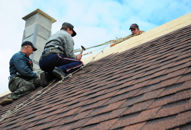 Best Roof Repair Services  in Genoa, OH